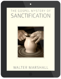 Book Summary of The Gospel Mystery of Sanctification by Walter Marshall